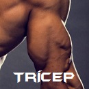 Triceps1